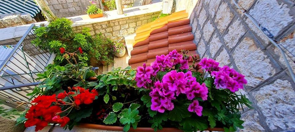 Bed & Breakfast Dionis วิส ภายนอก รูปภาพ