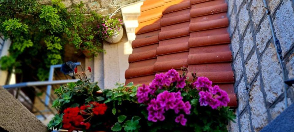 Bed & Breakfast Dionis วิส ภายนอก รูปภาพ